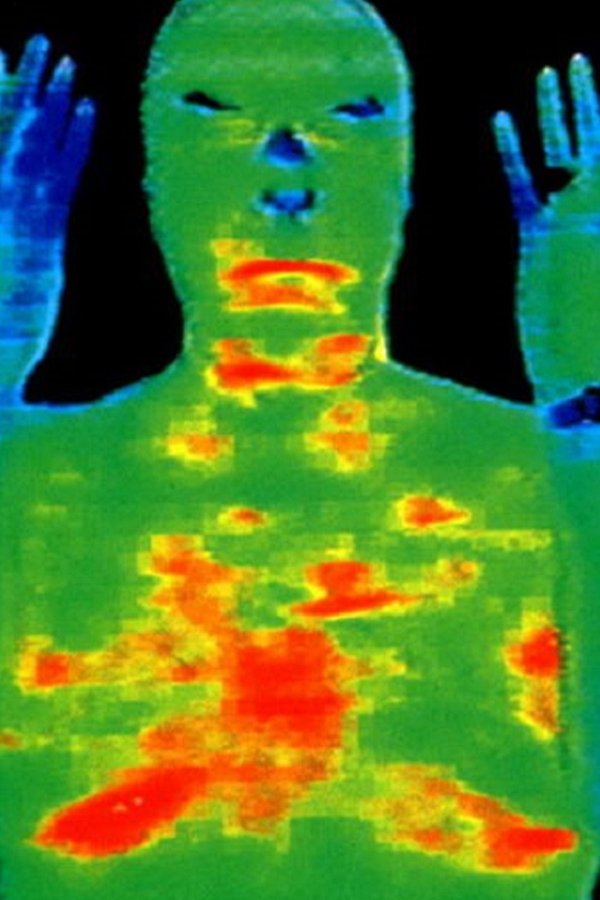 The Rumour of True Things