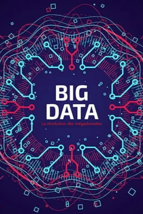 TVplus FR - Big Data - La révolution des mégadonnées  (2014)