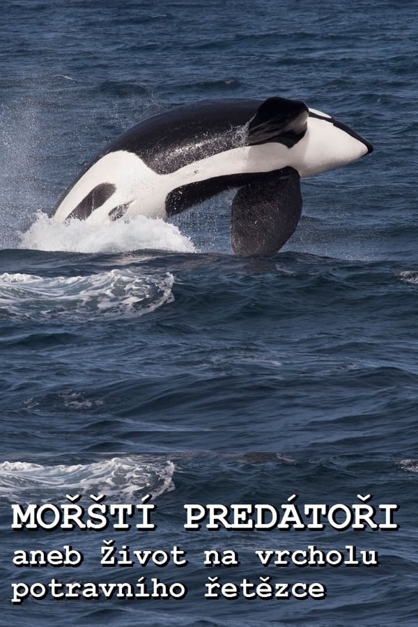 |EN| Ocean Predators