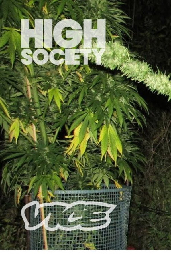 Inside a Secret Weed Farm Hidden in Plain Sight (2020)