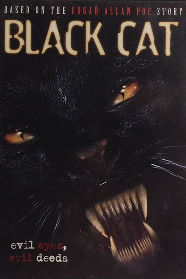 Black Cat
