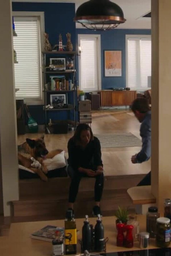 Hudson & Rex – S05E10 – Episodio 10