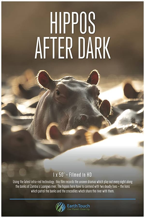 EN - Hippos After Dark (2015)