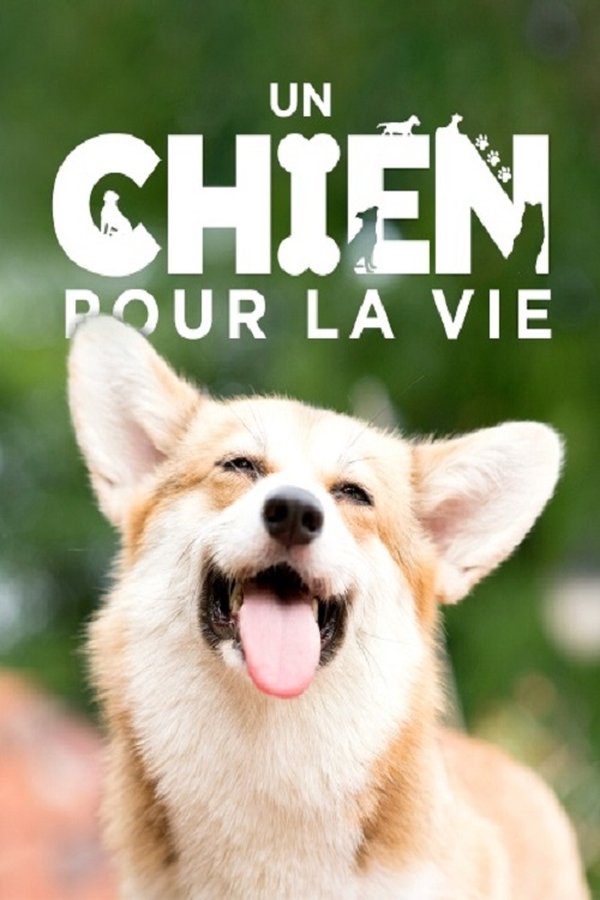 TVplus FR - Un chien pour la vie (2026) (ZA)