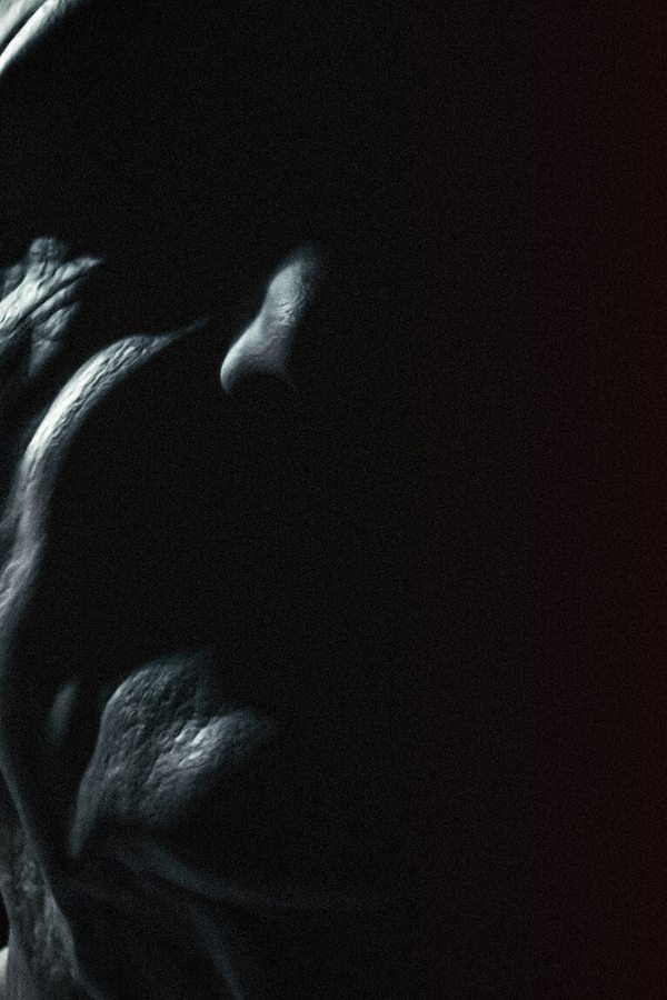 Old People (2022) backdrop image