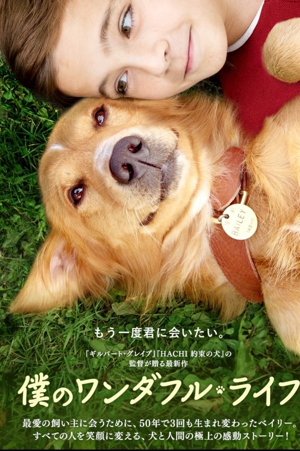 おばさん 憤る 創造 僕 の ワンダフル ライフ Blu Ray Junyakuzen Com おばさん 憤る 創造 僕 の ワンダフル ライフ Blu Ray Junyakuzen Com