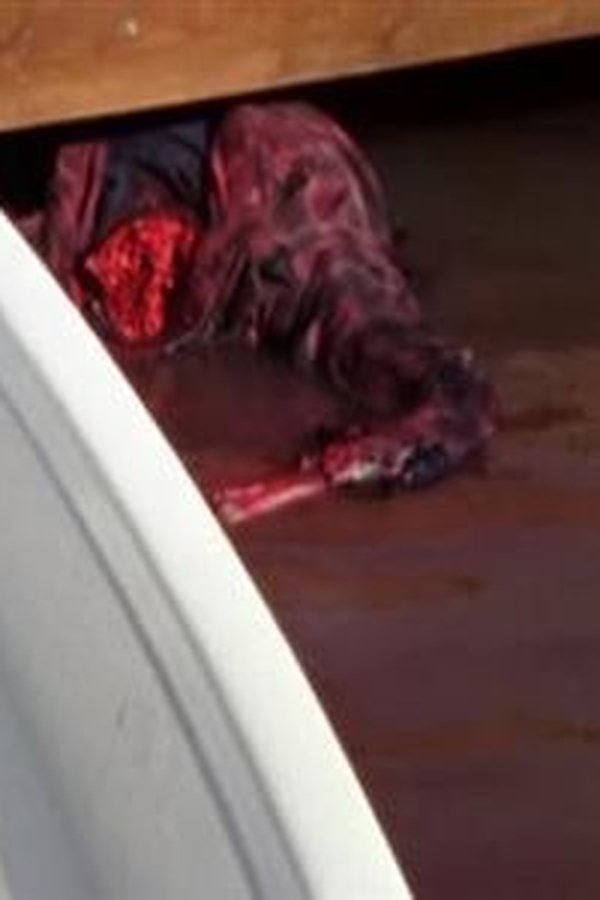 Tremors – S01E12 – Episodio 12