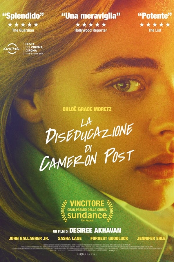IT - The Miseducation Of Cameron Post  - 2018