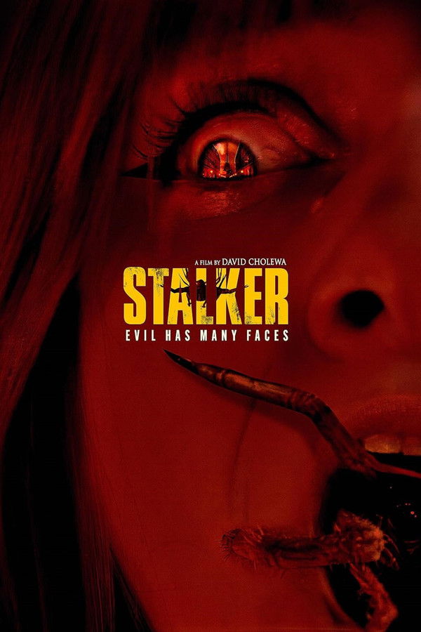Stalker poster