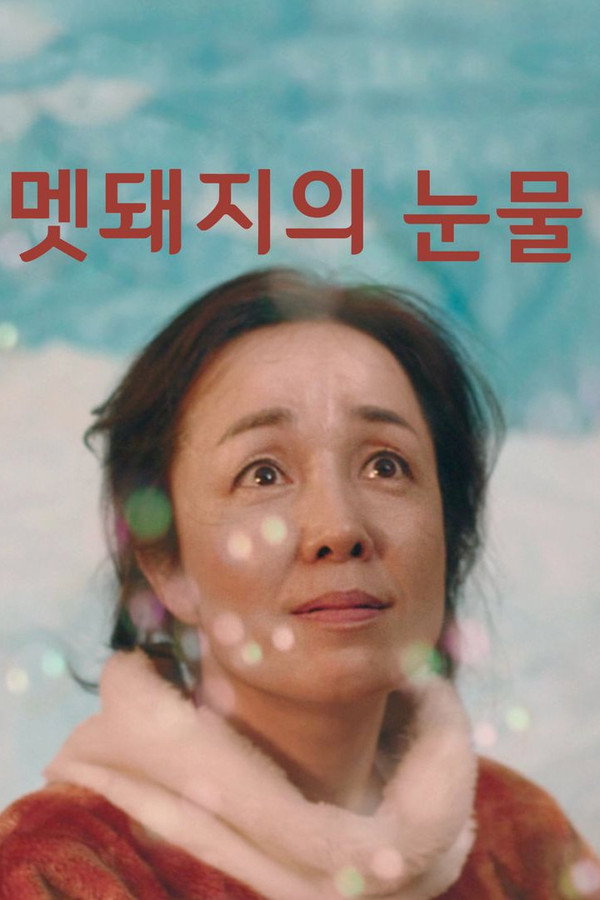 멧돼지의 눈물