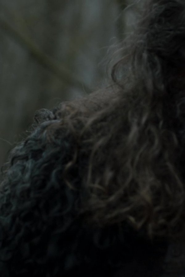 The Last Kingdom – S03E01 – Episodio 1