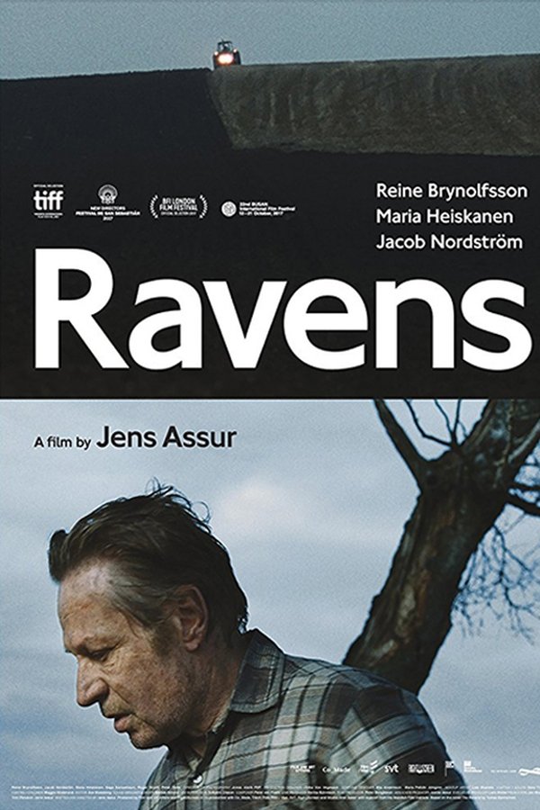 Ravens