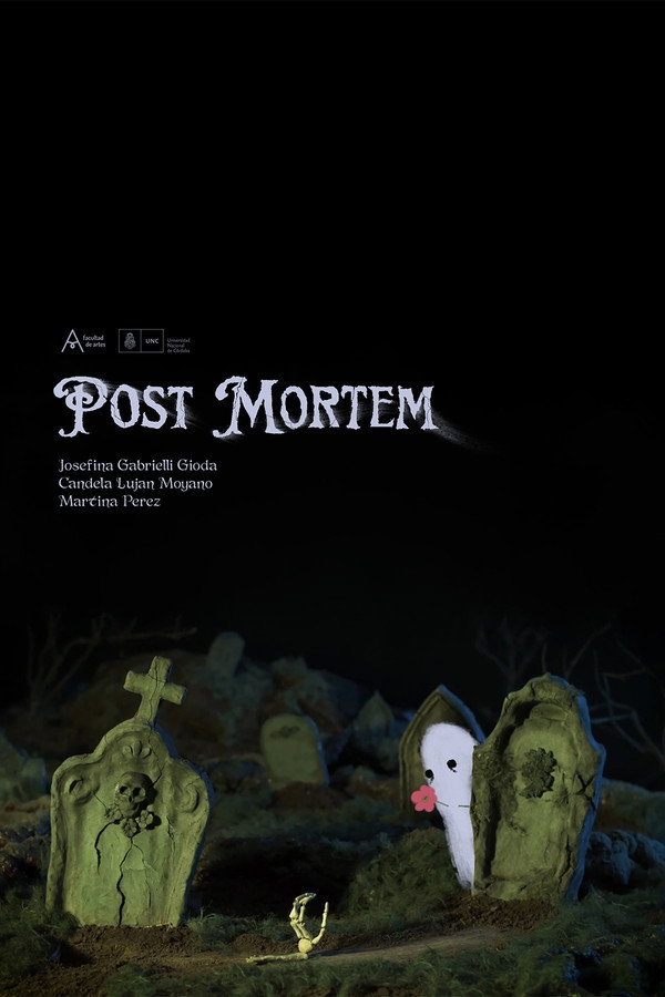 Post Mortem