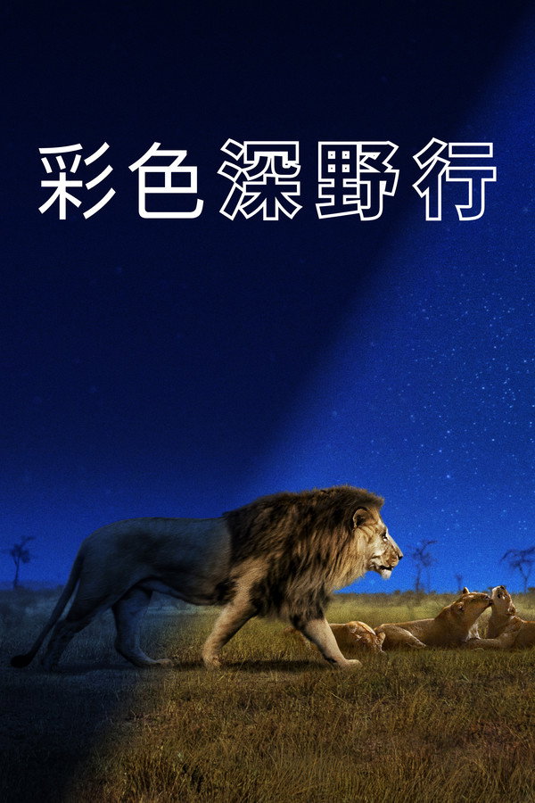 彩色深野行第1季