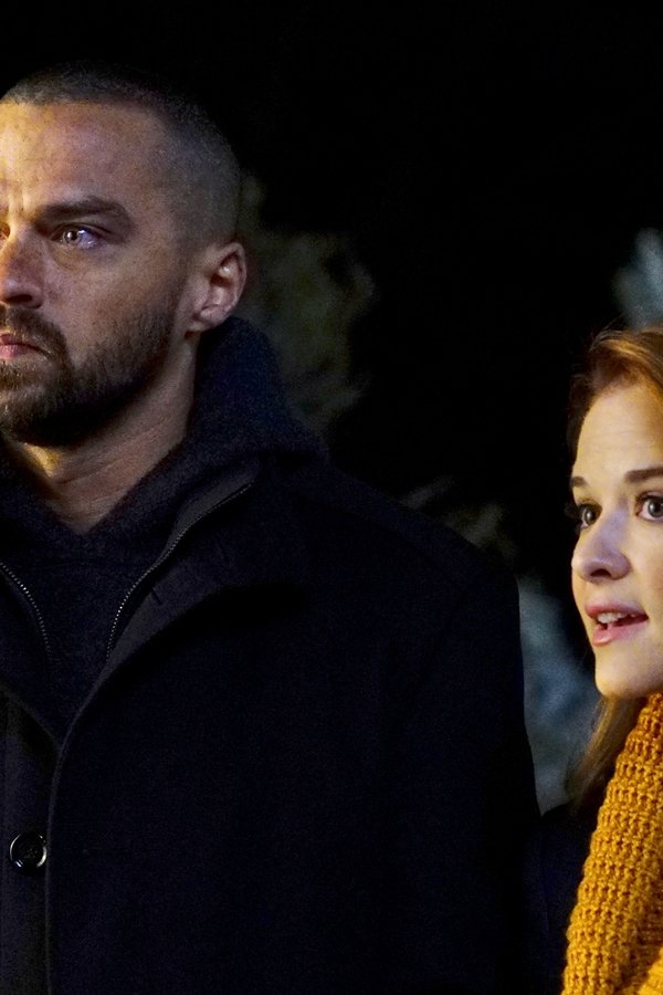 Grey’s Anatomy – S13E16 – Chi è lui (e cos’è per te?)