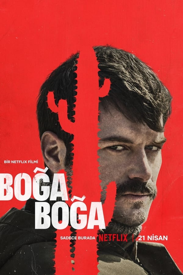 NL - Boğa Boğa (2023)