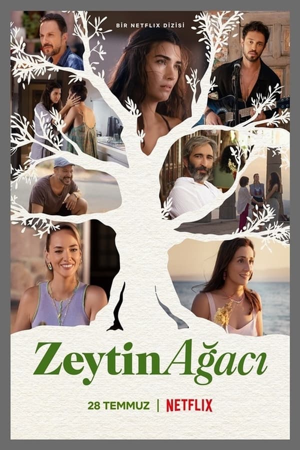 TR - Zeytin Ağacı (TR)