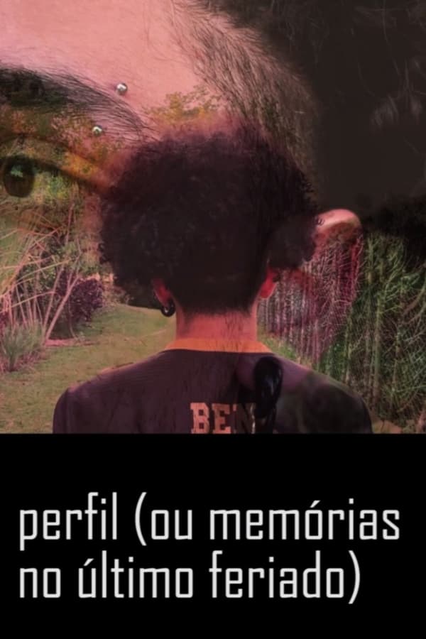 perfil (ou memórias no último feriado)