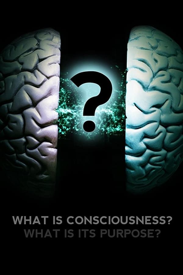 What Is Consciousness? What Is Its Purpose? (2017)