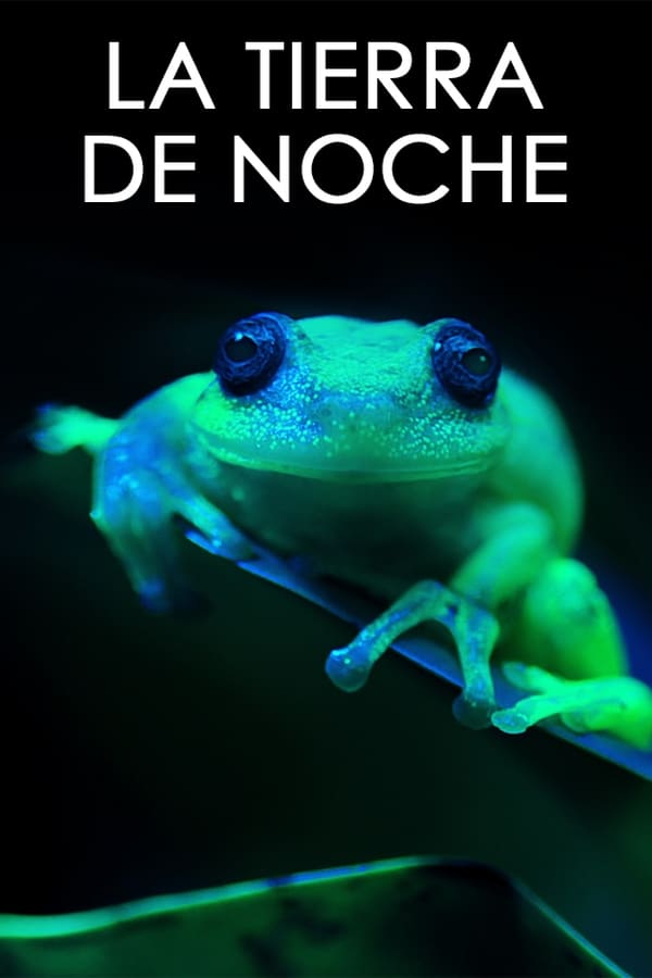 La Tierra de noche