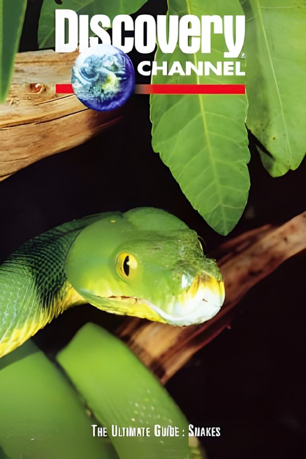 The Ultimate Guide: Snakes