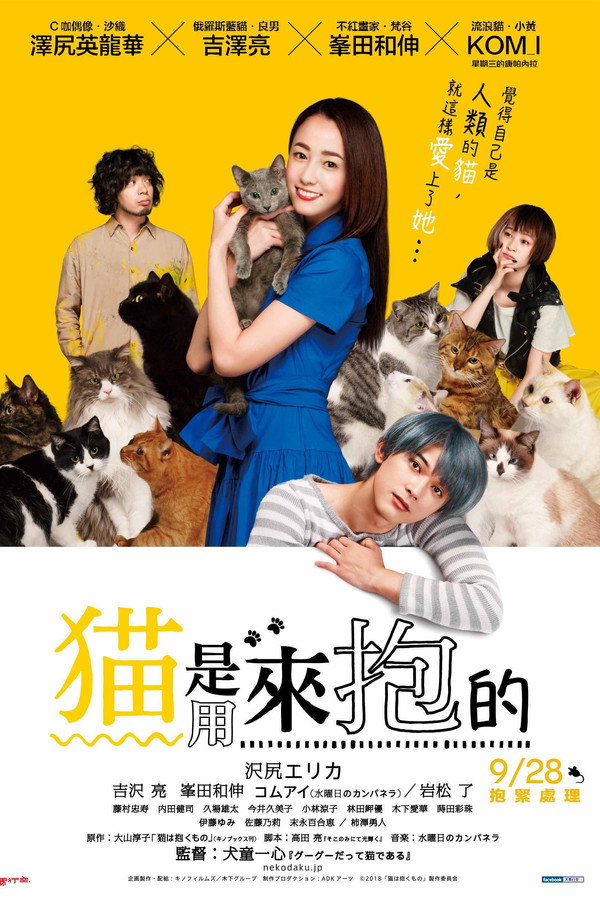猫是要抱着的