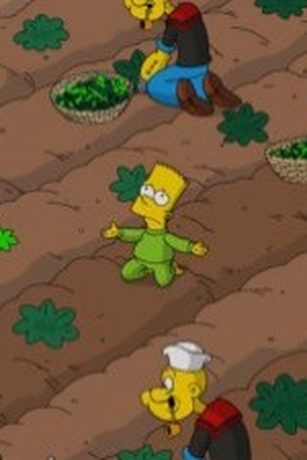 I Simpson – S24E10 – Un test da testare