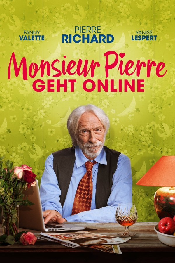 DE - Monsieur Pierre geht online (2017)
