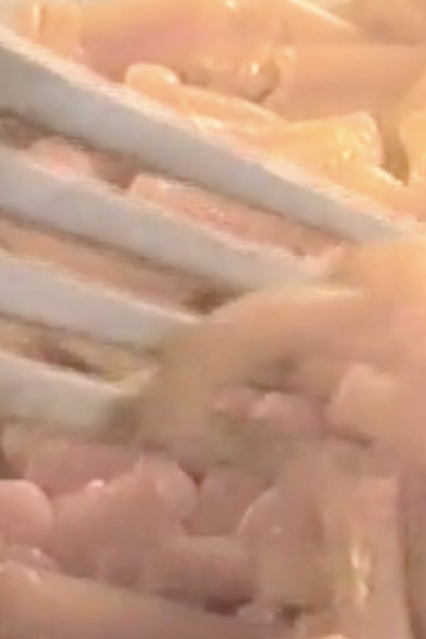 “Pet, Fluffy, Cheezy, Bunny…”