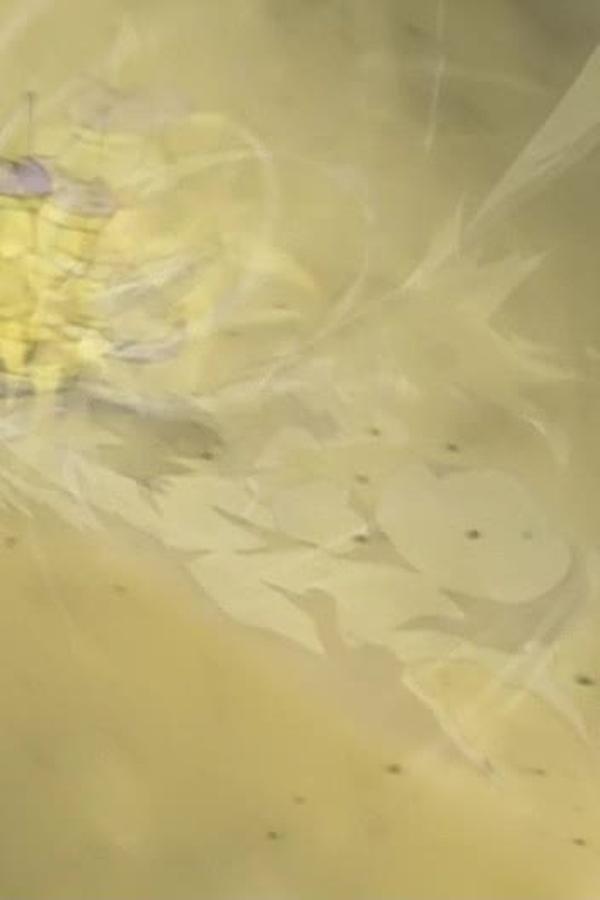 Beyblade – S01E10 – Episodio 10