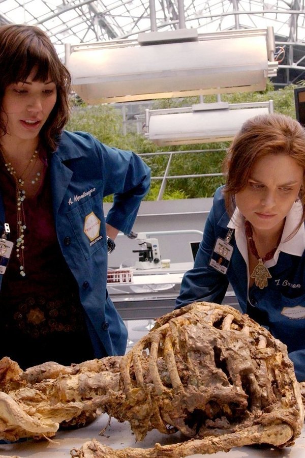 Bones – S01E01 – Testimone dal passato