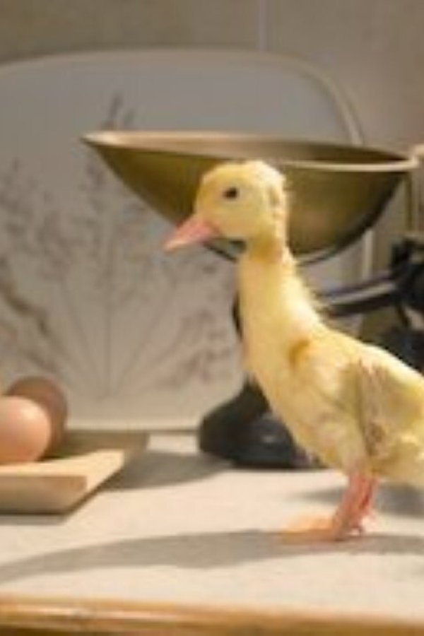Piccole creature – S01E07 – Episodio 7