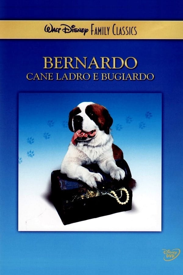 Bernardo cane ladro e bugiardo