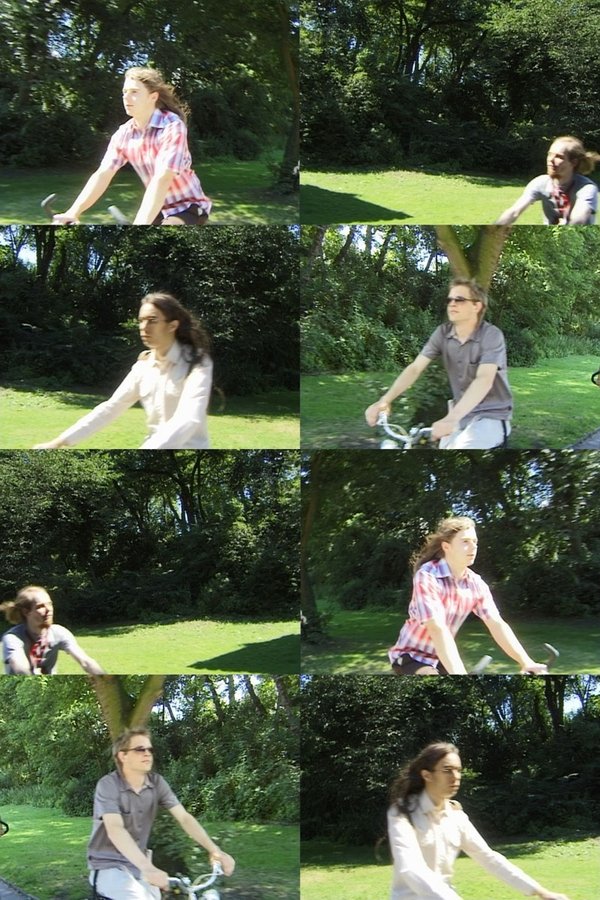 Das Regal Kostet 12 Euro