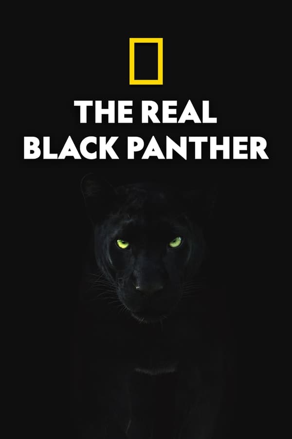 EN - The Real Black Panther  (2020)