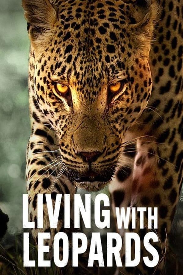 TVplus NF - Living with Leopards (2024)