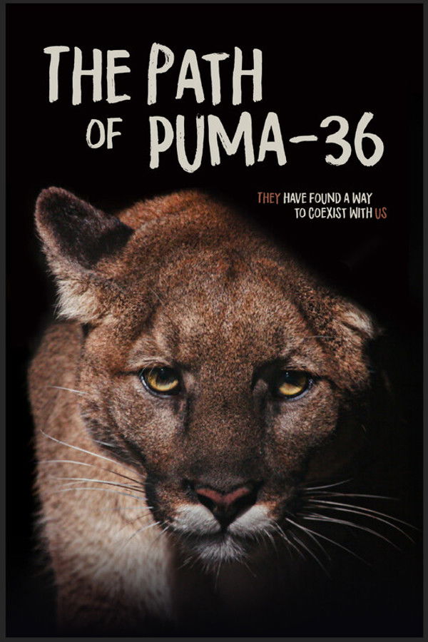 The Path of Puma-36