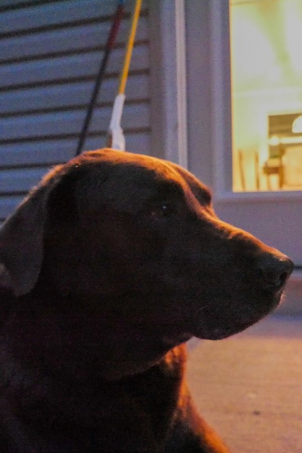 Profile