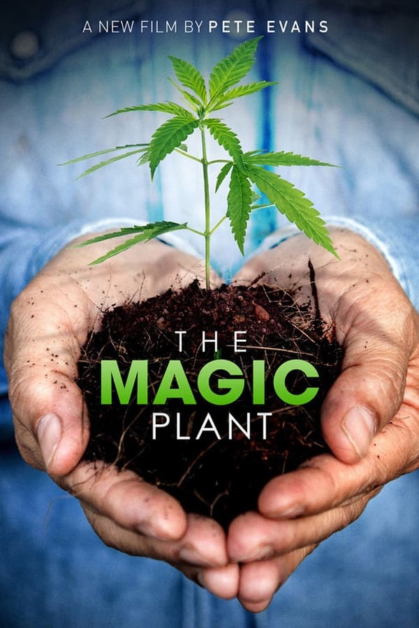 EN - The Magic Plant  (2020)