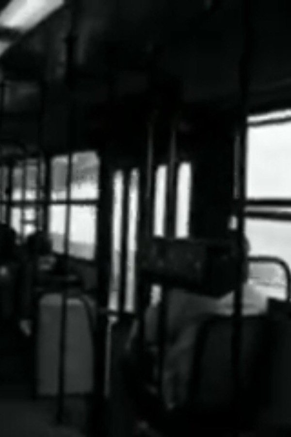 L’Incudine Delle Forze