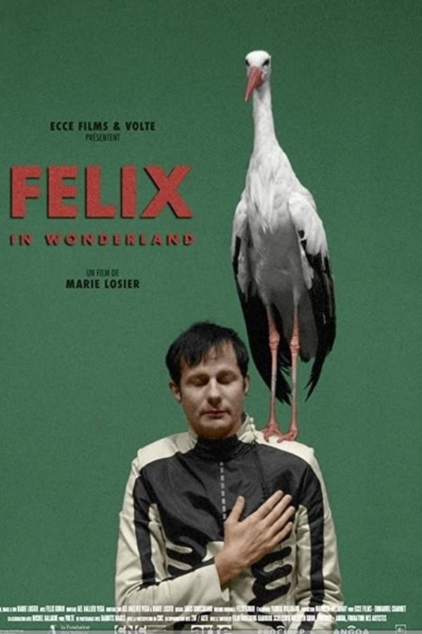 Felix in Wonderland