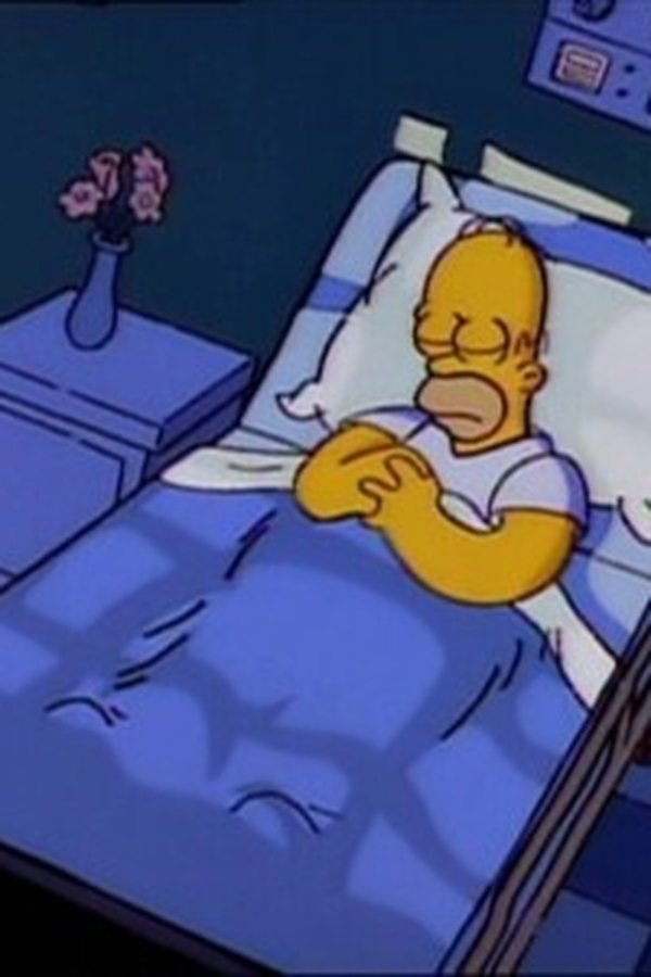 I Simpson – S04E11 – Il triplice bypass di Homer