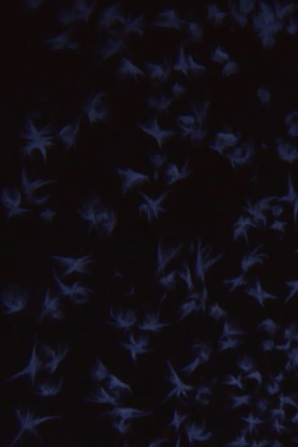 Albedo 0.97 poster
