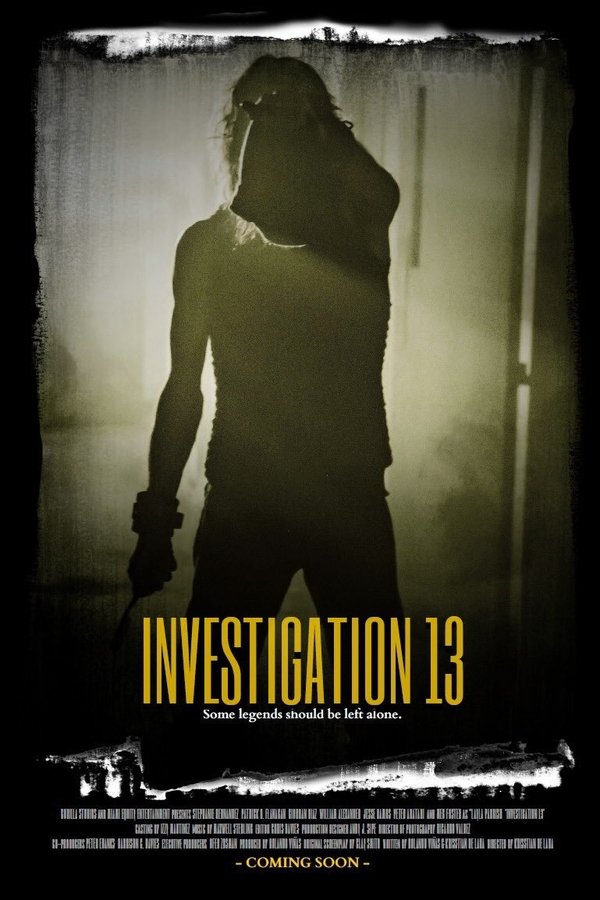 Investigation 13