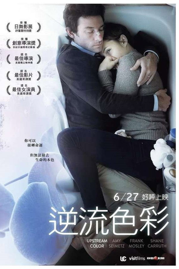 逆流的色彩