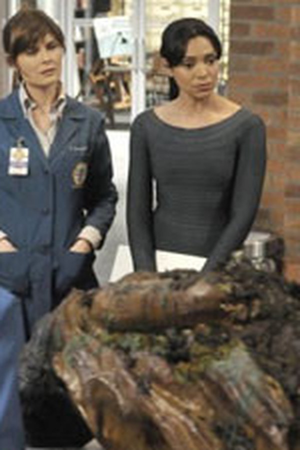 Bones – S06E06 – Un alieno in fondo al mare