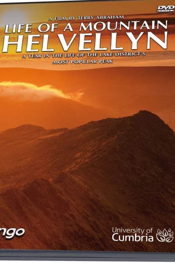 A Year on Helvellyn