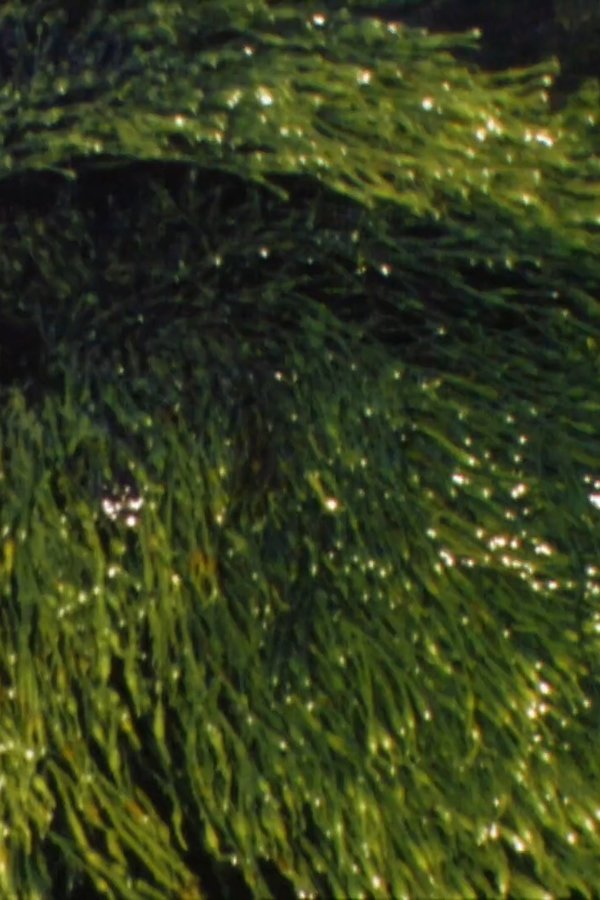 Playing With Water II + III