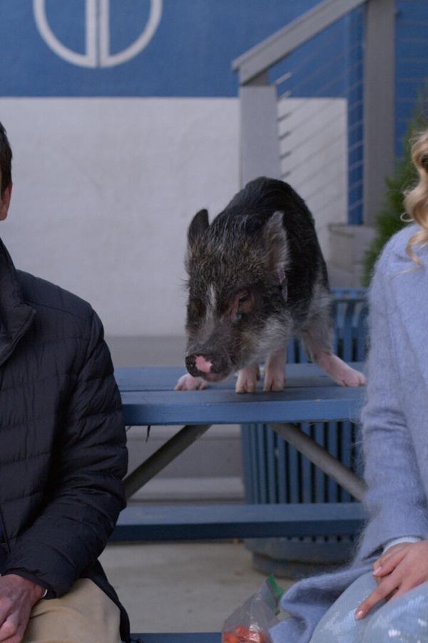 Atypical – S04E07 – Episodio 7