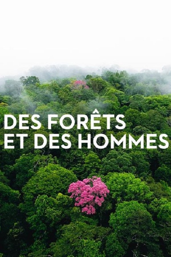 Forests and People poster